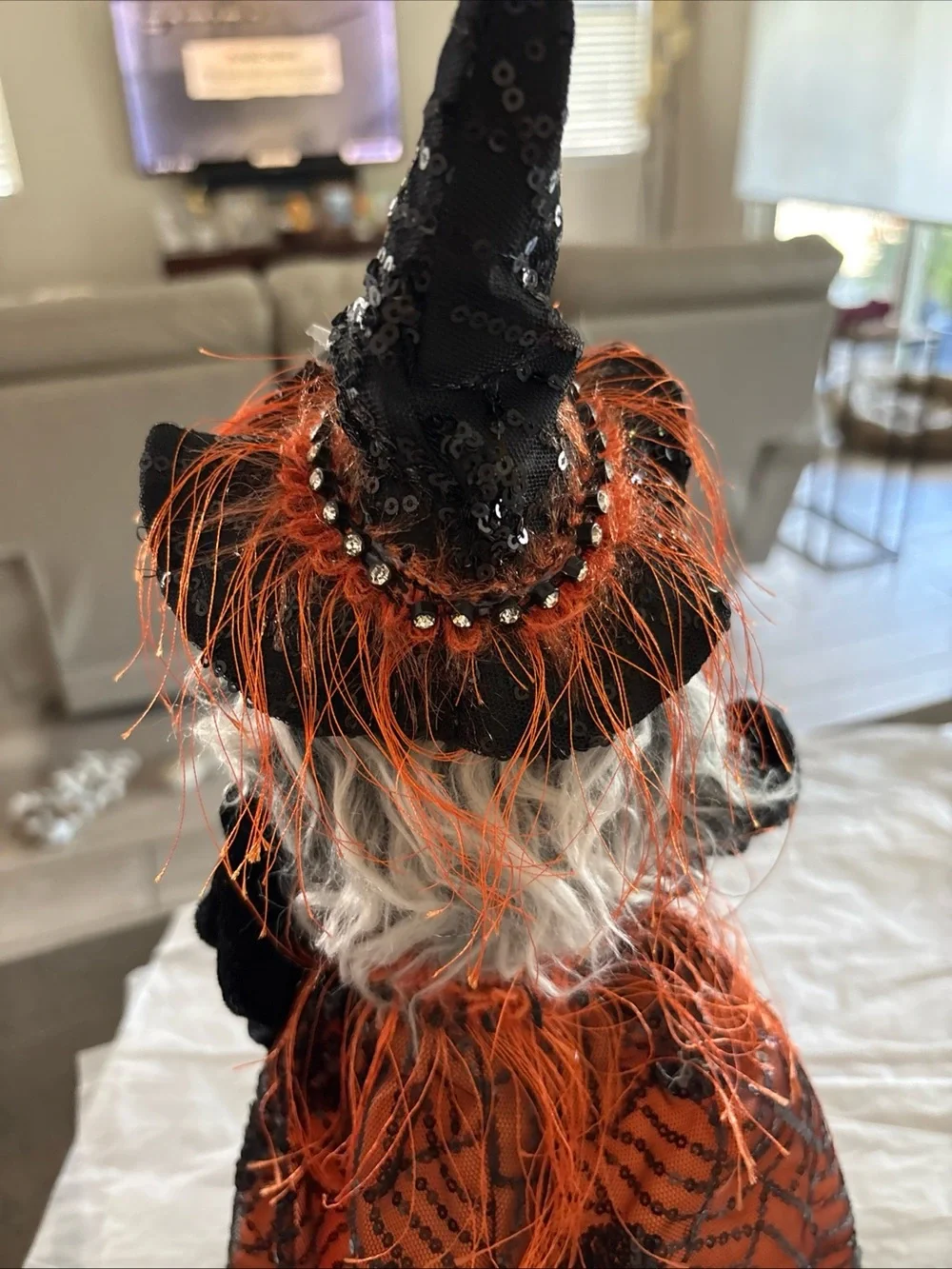 N/A halloween witch